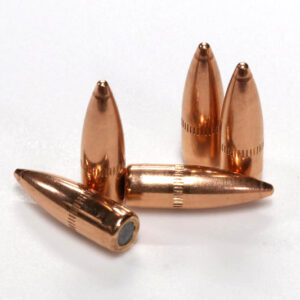 Reloading bullets for sale